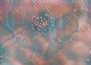 Matte  Glass  Printing