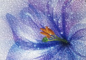 Particles  Glass  Printing